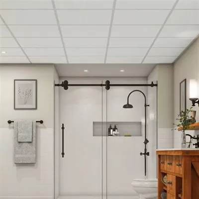 बाथरूम की छत के पैनल